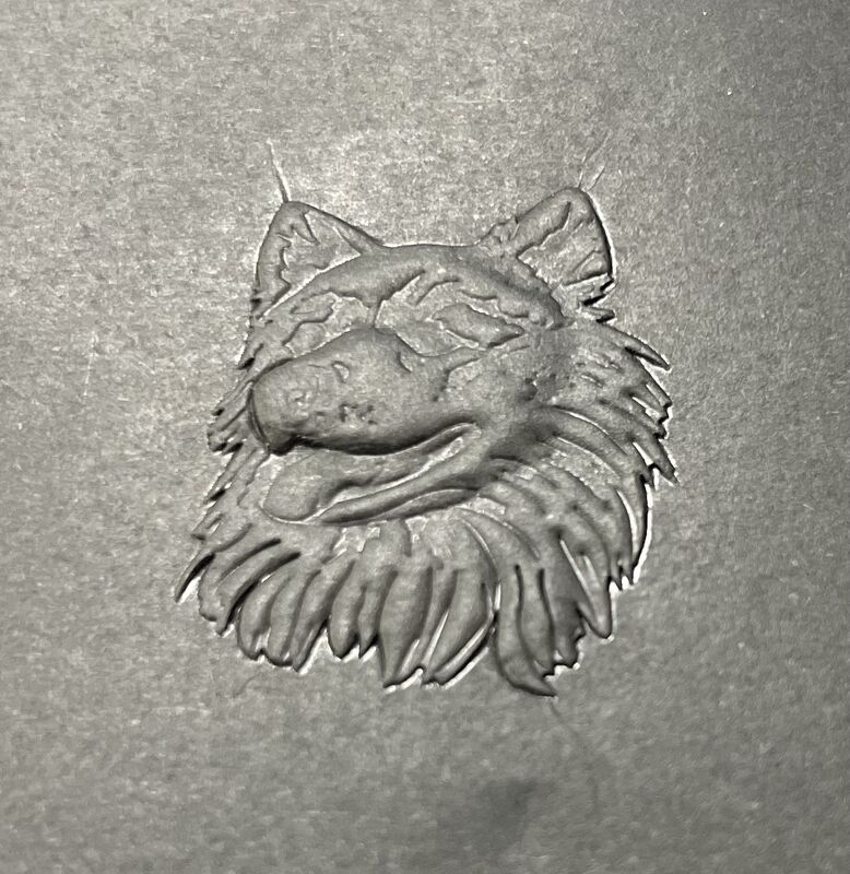 Автоматическая машина для штамповки горячей фольги для полного спектра упаковочной бумаги, цветовой штамповки